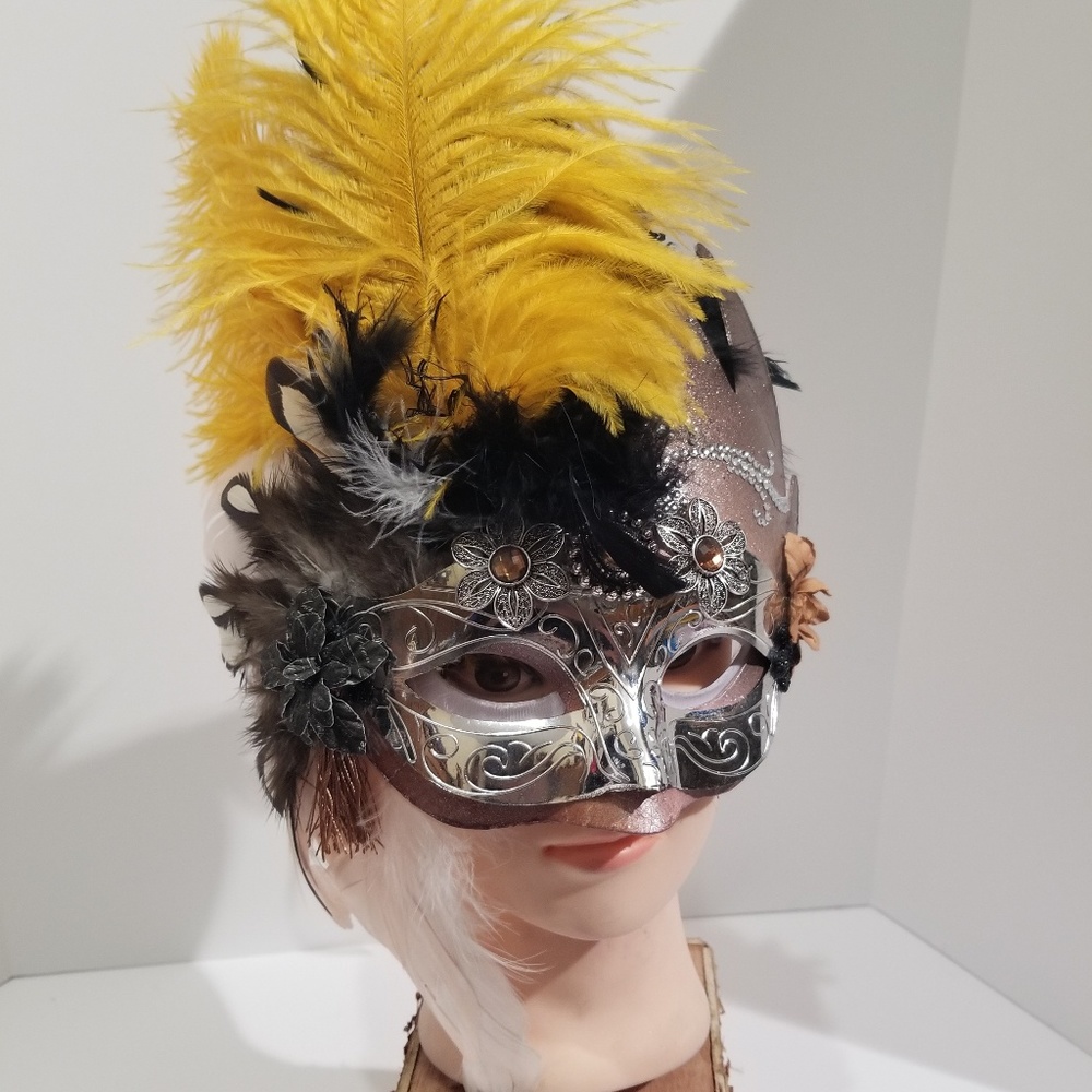 Mardi Gras mask
